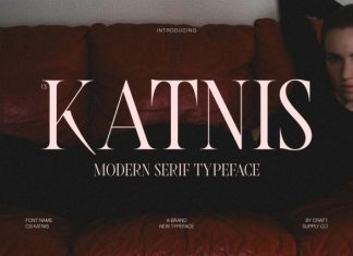 CS Katnis – Modern Serif Font preview image 1