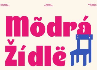 CS Keiga – Sans Serif Font preview image 2