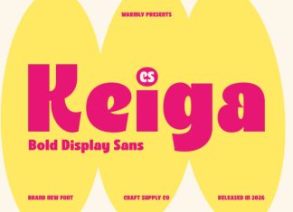 CS Keiga – Sans Serif Font preview image 1