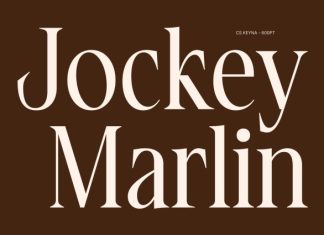 CS Keyna – Modern Serif Font preview image 2