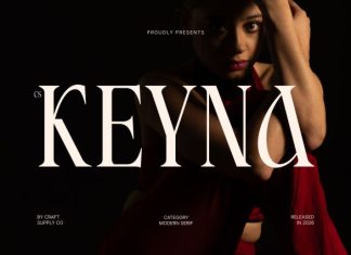 CS Keyna – Modern Serif Font preview image 1