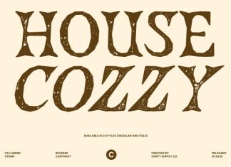 CS Lander Stamp Font preview image 2