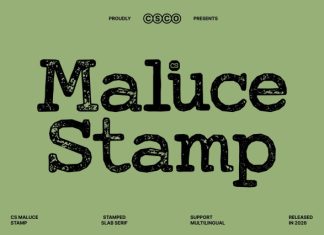 CS Maluce Stamp Font preview image 1