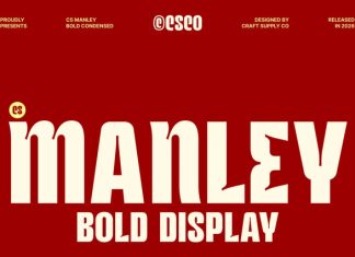 CS Manley – Inktrap Font preview image 1