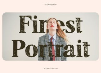 CS Mantis Stamp Font preview image 2