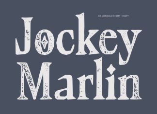 CS Marigold Stamp Font preview image 2