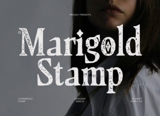 CS Marigold Stamp Font preview image 1