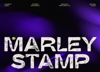 CS Marley Stamp Font preview image 1