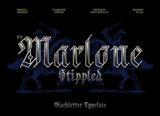 CS Marlone Stippled Font preview image 1