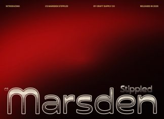 CS Marsden Stippled Font preview image 1