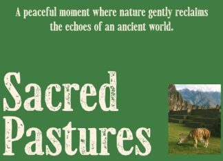 CS Martines Stamp Font preview image 3