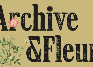 CS Martines Stamp Font preview image 2
