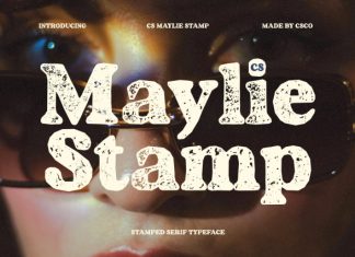CS Maylie Stamp Font preview image 1