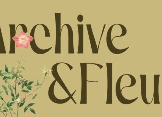 CS Mayren – Art Nouveau Font preview image 3