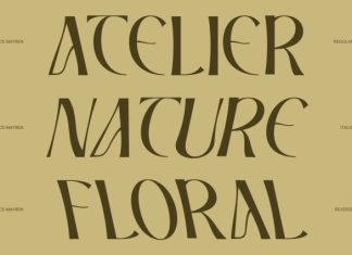 CS Mayren – Art Nouveau Font preview image 2