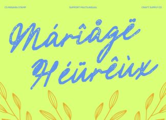 CS Megara Stamp Font preview image 2