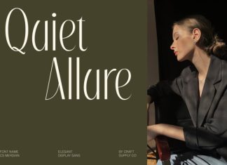 CS Merdian – Elegant Sans Serif Font preview image 3