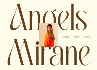 CS Meryna – Stylish Serif Font preview image 3