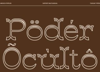 CS Mexico Stippled Font preview image 3