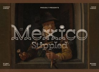 CS Mexico Stippled Font preview image 1