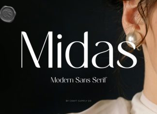 CS Midas – Modern Sans Serif Font preview image 1