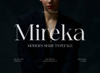 CS Mireka – Modern Serif Font preview image 1