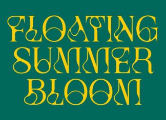 CS Moda – Experimental font preview image 3