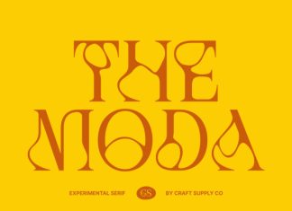 CS Moda – Experimental font preview image 1