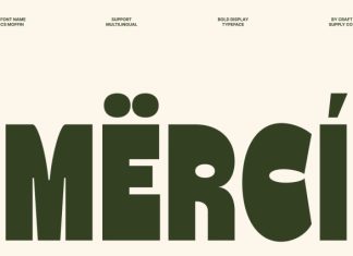 CS Moffin – Bold Display Font preview image 3