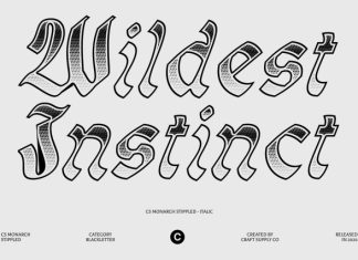 CS Monarch Stippled Font preview image 3