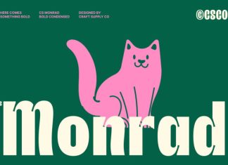 CS Monrad – Inktrap Font preview image 1