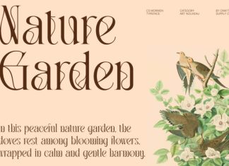 CS Morwen – Art Nouveau Font preview image 3