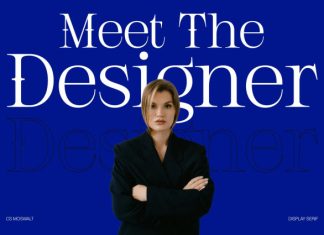 CS Moswalt – Modern Serif Font preview image 3