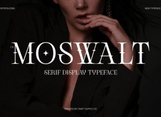 CS Moswalt – Modern Serif Font preview image 1