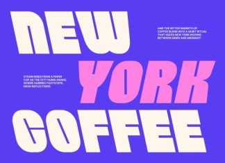 CS Moza – Bold Sans Serif Font preview image 3