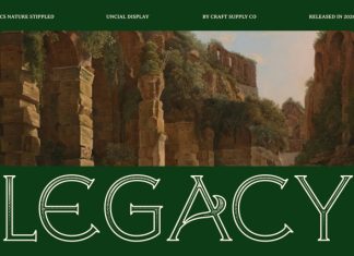 CS Nature Stippled Font preview image 3
