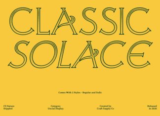 CS Nature Stippled Font preview image 2