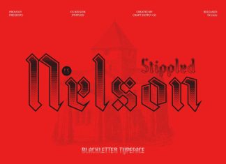 CS Nelson Stippled Font preview image 1