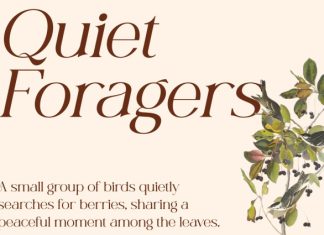 CS Nevada – Art Nouveau Font preview image 3