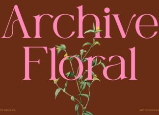 CS Nevada – Art Nouveau Font preview image 2