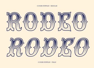 CS Noir Stippled Font preview image 2
