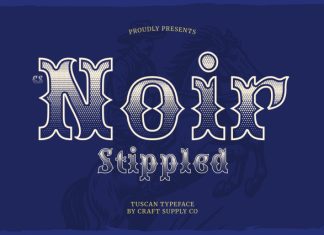 CS Noir Stippled Font preview image 1