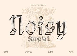 CS Noisy Stippled Font preview image 1