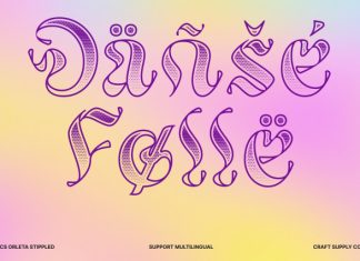 CS Orleta Stippled Font preview image 2