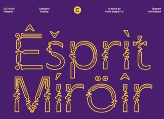CS Pacify Stippled Font preview image 3