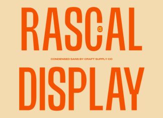 CS Rascal – Condensed Font preview image 1