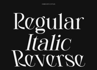 CS Rasika – Elegant Serif Font preview image 2