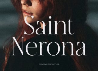 CS Rasten– Modern Serif Font preview image 2