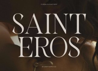 CS Reba – Elegant Serif Font preview image 2