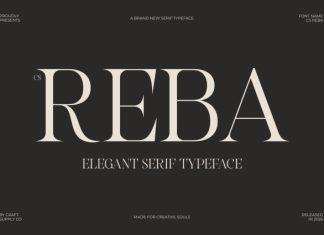 CS Reba – Elegant Serif Font preview image 1